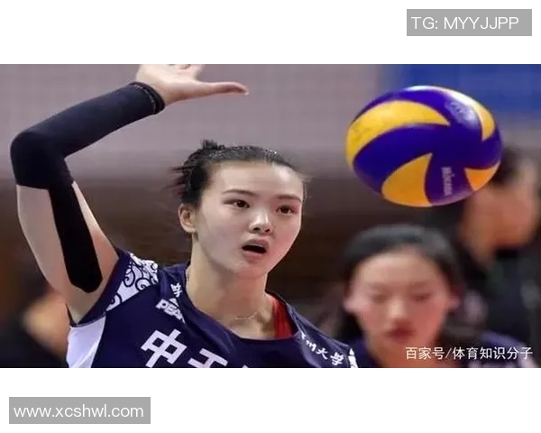 重庆排球队实力分析与数据解读：探寻其在国内赛场的竞争优势与潜力